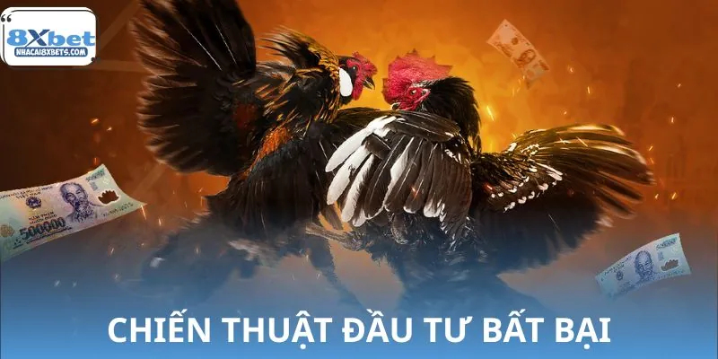 Bí quyết chơi đá gà Campuchia dễ thắng lớn