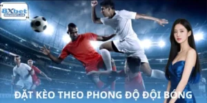 Chiến Thuật Đặt Kèo Theo Phong Độ Đội Bóng 8XBET Cực Chuẩn